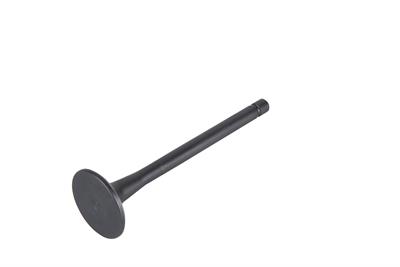 Intake Valve - E049301000013